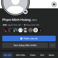 Phamminhhoang207